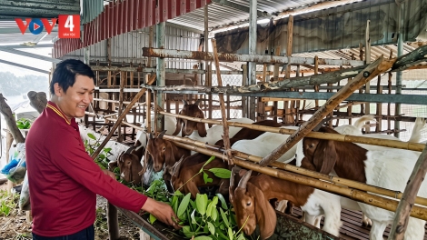 BĂN BÉ - C’LÂNG TR’XĂL LIÊM CHOOM, PA XOỌNG ZÊN BƠƠN BHRỢ HA ĐHANUÔR VĨNH LONG
