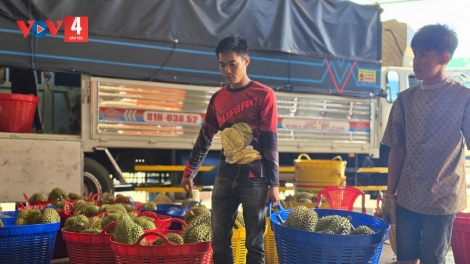 Siết chặt quản lý mã số vùng trồng và cơ sở đóng gói xuất khẩu nông sản