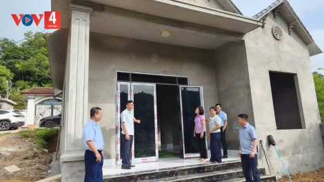 THÁI NGUYÊN KHOÁI HẾT LƯỜN MẤƯ HẨƯ CẦN MẺN CHẤT ĐỘC HÓA HỌC