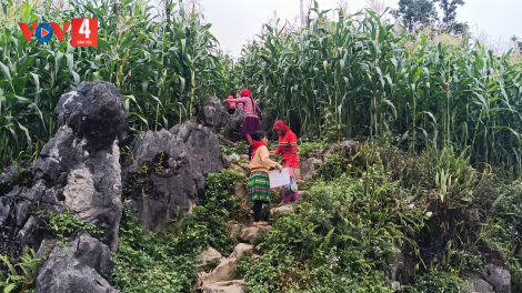 Mức sinh vùng dân tộc thiểu số giảm nhưng tỷ lệ sinh con sớm vẫn còn cao