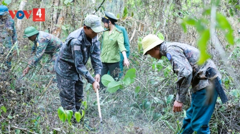 Tiền dịch vụ môi trường rừng: Thêm nguồn lực cho người dân
