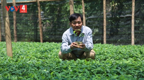 ZÊN AGRIBANK PA TÊỆT C’RƠ: TƠƠM QUẾ TRÀ BỒNG HA DƯR DAL CHR’NĂP