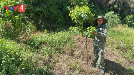 Nông dân vùng cao đổi cách làm, tìm hướng phát triển kinh tế bền vững