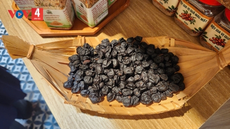 Ô mai rừng- món ăn, vị thuốc