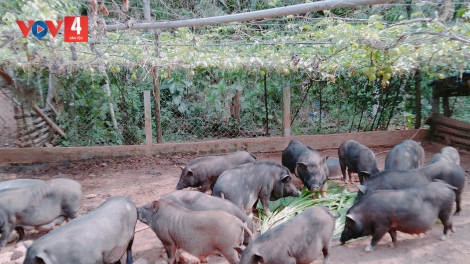 CƠNH BĂN A’ỌC TĂM ÂNG VEL ĐONG
