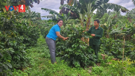 T’VAIH PR’ĐƠỢ BHRỢ CHA, PA XIÊR ĐHA RƯT NHÂM MÂNG ĐOỌNG HA ĐHANUÔR COH K’COONG CH’NGAI A LƯỚI