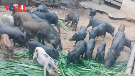 ĐHANUÔR DA DING K’COONG DƯR TA CLƠ ĐƯƠI VÊY BĂN A’ỌC TĂM