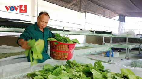 Từ những mô hình mới đến hướng sản xuất hàng hóa ở Thanh Thủy