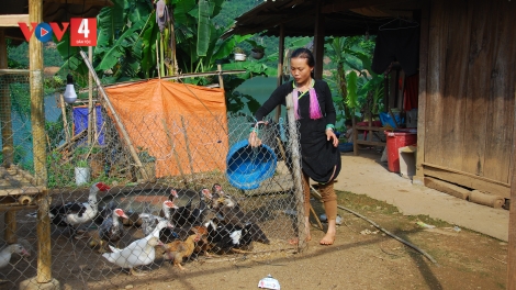 Điện Biên đề xuất gói chính sách 59 tỷ đồng hỗ trợ đồng bào dân tộc thiểu số