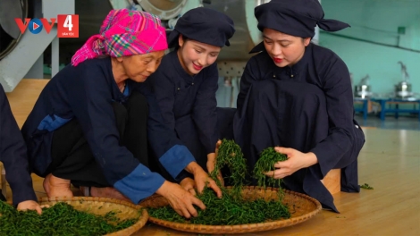 PỈ NOỌNG TỈNH ĐÀI XÁU CHƯƠNG TRÌNH (Chủ nhật, vằn xo 6/9/2026)
