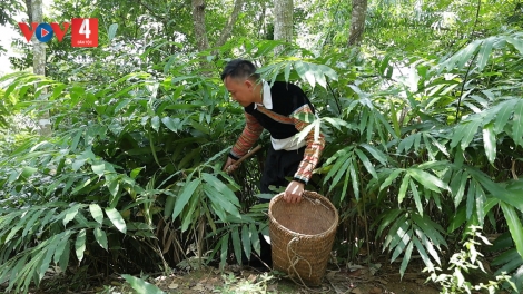 CHAY CO MÁC NẺNG CẮM PANG HẨƯ PỈ NOỌNG DÚ BÚNG KHAU PÙ TRẠM TẤU NẮM NHẰNG KHỎ