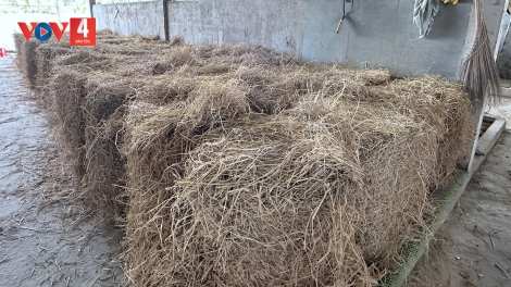 N’JĂNG – TƠỢ RÂU TA LƠI DƯR VAIH ĐHỊ T’BƠƠN ZÊN T’MÊÊ