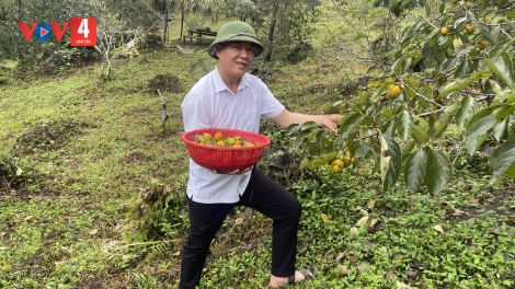 SLÌ MÁC CHÍ RẨY DÚ BÚNG KHAU PÙ THÁI NGUYÊN 
