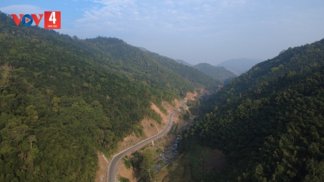 THÁI NGUYÊN CÁP XÁU BẠI BÚNG ĐAI SLE MÌ THEM TỈ LỈN LIỂU DƯƠNG CHỒM