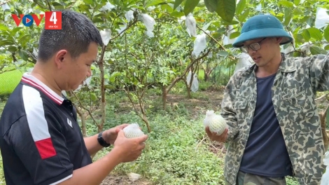 CAO BẰNG: PANG HẨƯ MÁC ỘI QUẢNG HƯNG KHAI TẢY CHÈN