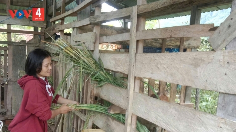 NG'CƠNH BĂN CHR'GƠƠNG PAY T'GHÊY LIÊM CHOOM?