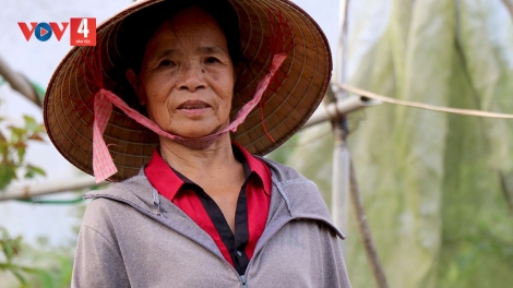 CẦN HẾT RẨY NÀ DÚ CAO BẰNG TẢY KHỎ TỐI MẤƯ XÉNG KHỬN HẾT KIN ĐÂY
