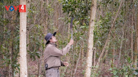 ĐHANUÔR COH DA DING K’COONG QUẢNG TRỊ BƠƠN K’VAN K’BHỘ ĐƯƠI TƠỢ BH’RỢ CHOH CRÂNG