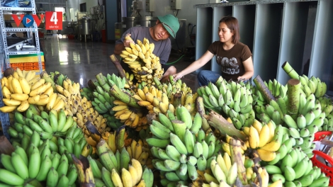 ĐẢNG VIÊN MANƯIH ACOON COH BHRỢ CHA CHOOM COH QUẢNG NGÃI