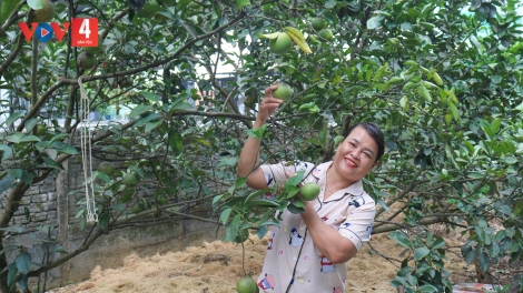 BƠƠN BHRỢ BÂC ZÊN ĐƯƠI VÊY PAY BHRỢ LIÊM CRÊÊ TƠƠM CHR’NOH, BH’NĂN BĂN
