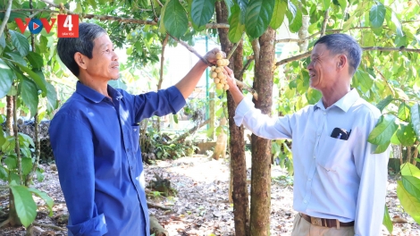 ĐẢNG VIÊN COH DA DING K’COONG ĐÀ NẴNG K’ĐƠƠNG A’CỌ ĐĂH BH’RỢ XA NAY ÂNG K’TIÊC K’RUUNG