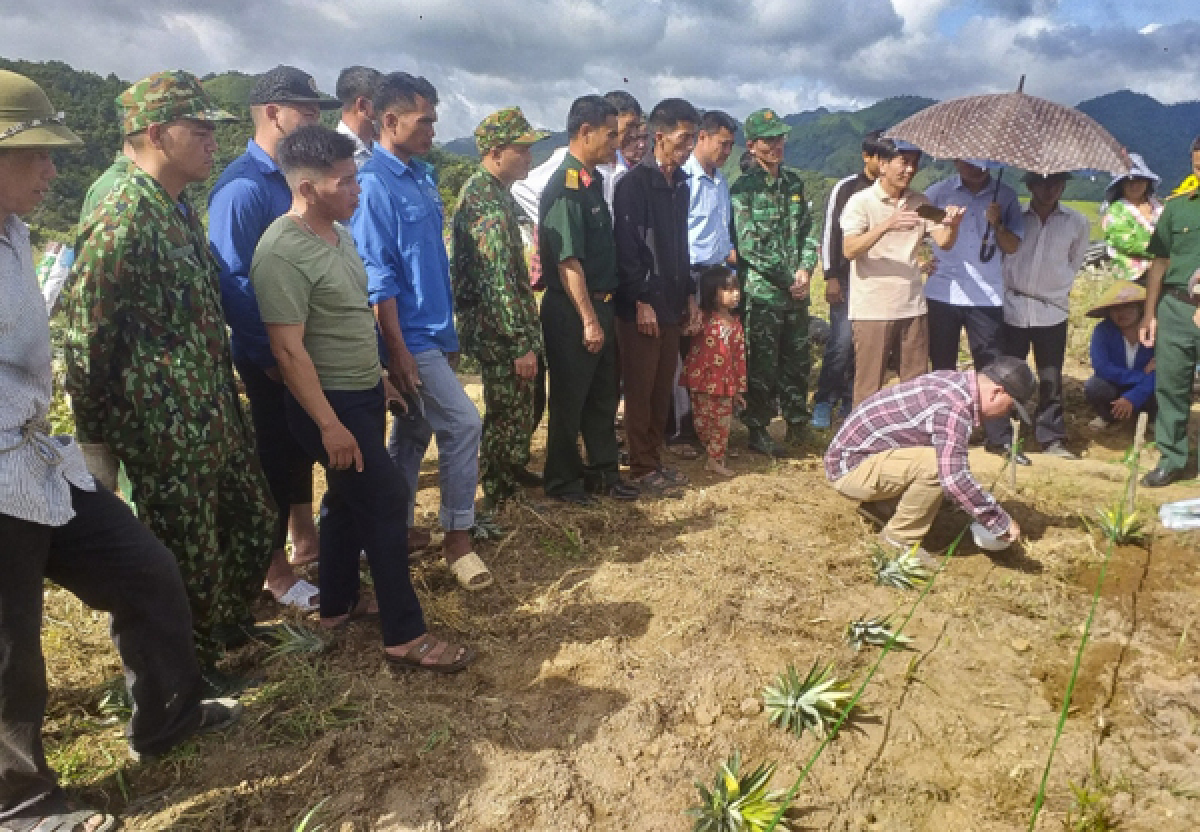 Chuyển giao kỹ thuật trồng dứa cho người dân các bản ở Mường Nhà và các xã lân cận. Ảnh: Vũ Lợi/VOV Tây Bắc