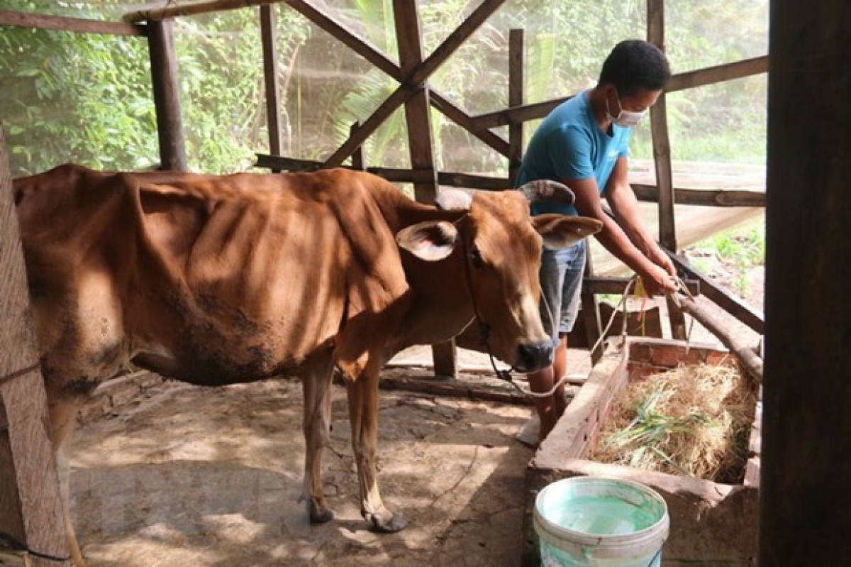 Jhul pakhang bruk cak rok patagok, khik tani tanat raidiuk xa hoi