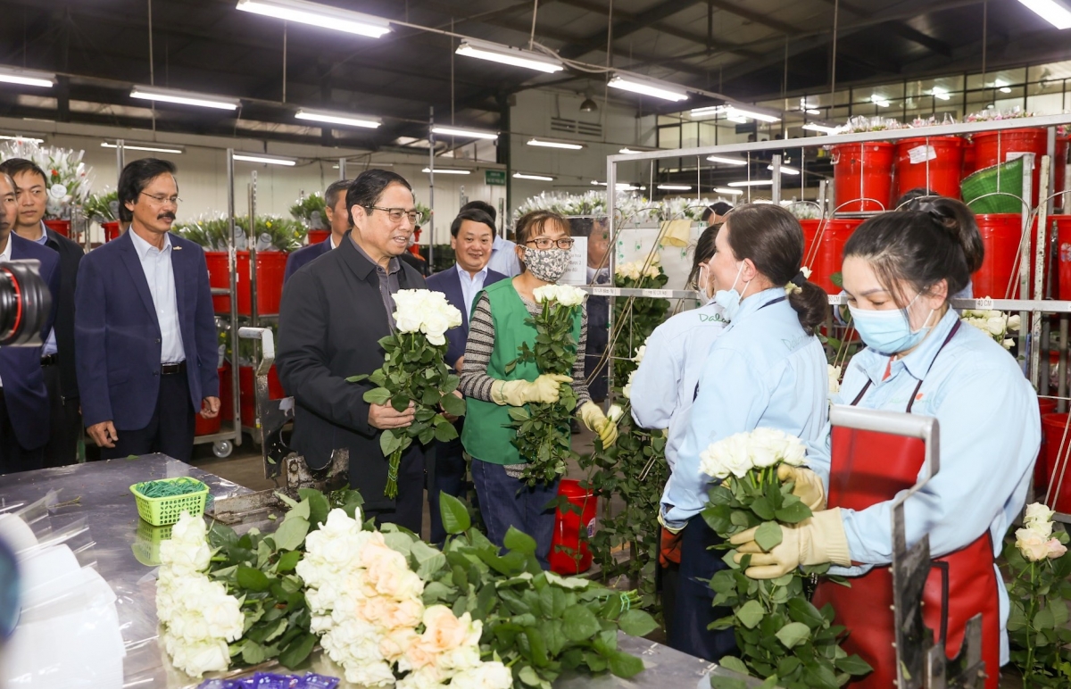 Khua dêh čar ơi Phạm Minh Chính nao čuă kông ty mơnuih ƀôn sang ngă pô Dalat Hasfarm