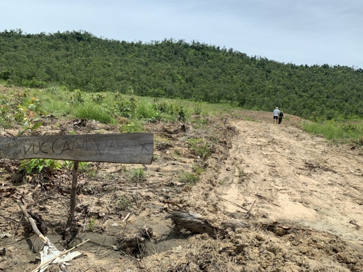 
Bri hơmŏ kơyuơ Anih vei lăng kon pơlei xăh H'Bông, apŭng Chư Sê vei lăng ƀơm chôk tơmăn vă pơtăm tơm ƀăch đan.