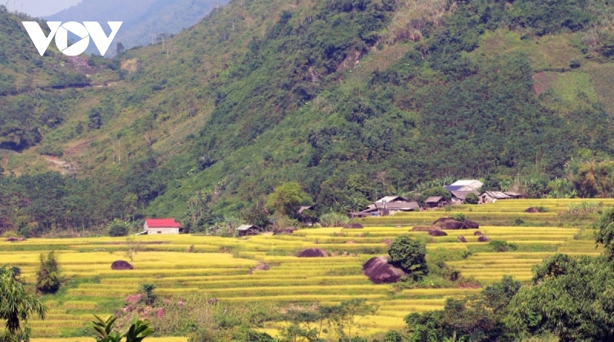 Tại xã Quảng Khê, du khách có thể đến tham quan, check-in cánh đồng lúa bậc thang chín vàng tại thôn Nà Hai, xã Quảng Khê.