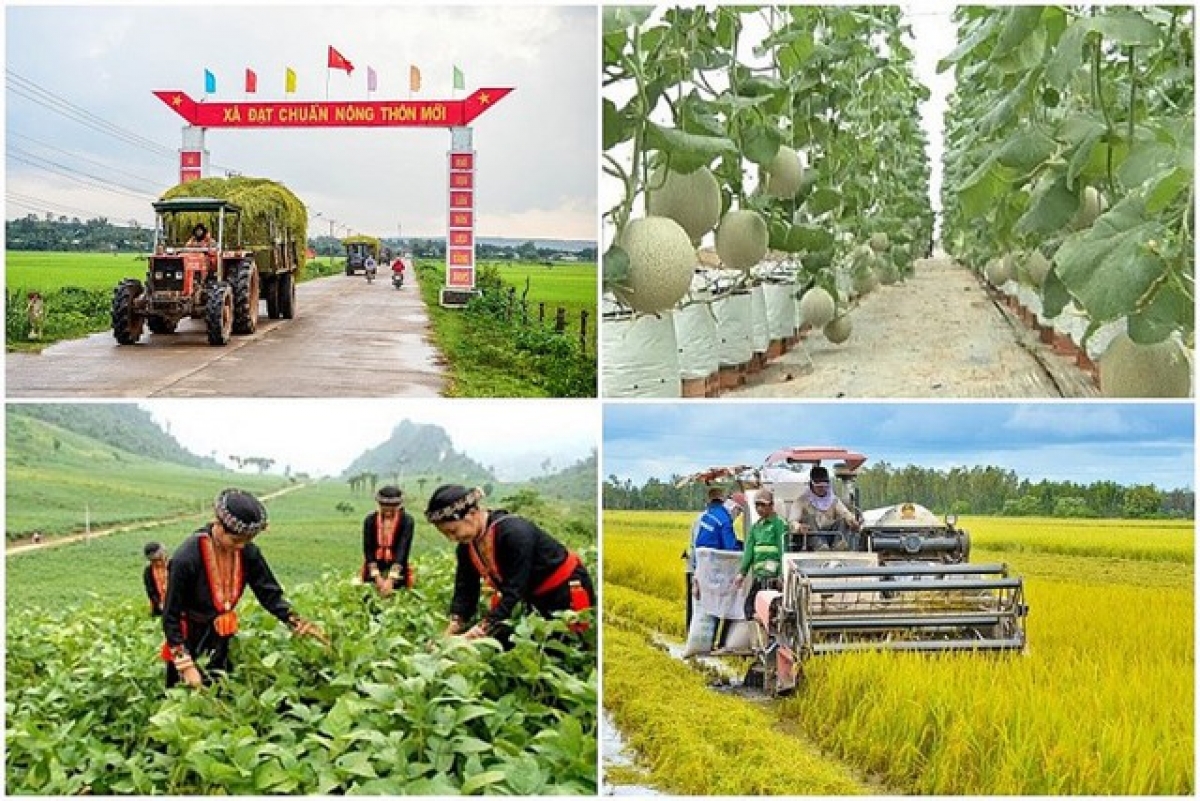 Tại không ít địa phương, việc triển khai một số dự án thuộc chương trình Mục tiêu quốc gia giai đoạn 2021-2025 đang gặp những khó khăn vướng mắc, ảnh hưởng đến tiến độ thực hiện và quá trình giải ngân các Dự án. Ảnh minh họa: Mattran.org.vn