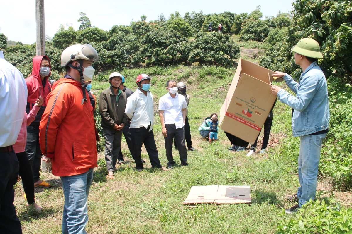 
Khu mơdró kâ hnê mơhno kuăn pơlê pêt plâi treăng kêt dro a tơring Ea Kar tro tiô túa vâ rak ngăn kế tơmeăm lĕm tơniăn tâ