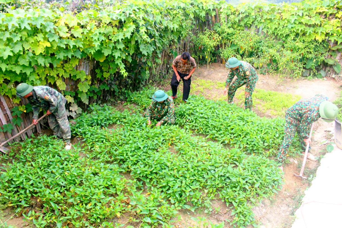  Kwang bàng, cau ling Pôs đồng ling sền gàr tiah nhàr lơgar Thàng Tín (Hoàng Su Phì) dong kờl làng bol tam gơl wơl suơn chi (rùp ai bơh tàm internet)