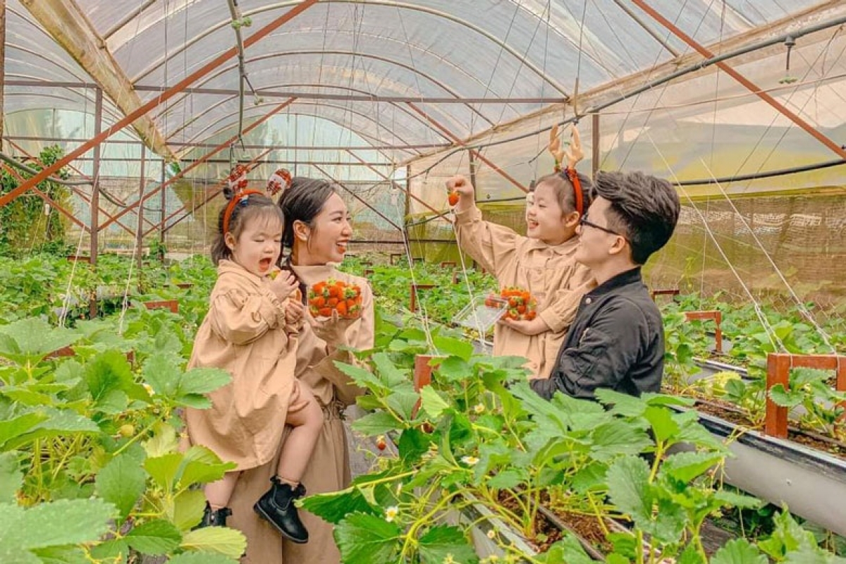 
Iŏk yua trong jang ‘nao rơgei lơ̆m choh jang xa vă pơtăm yâu tei kiơ̆ pơkăp Vietgap