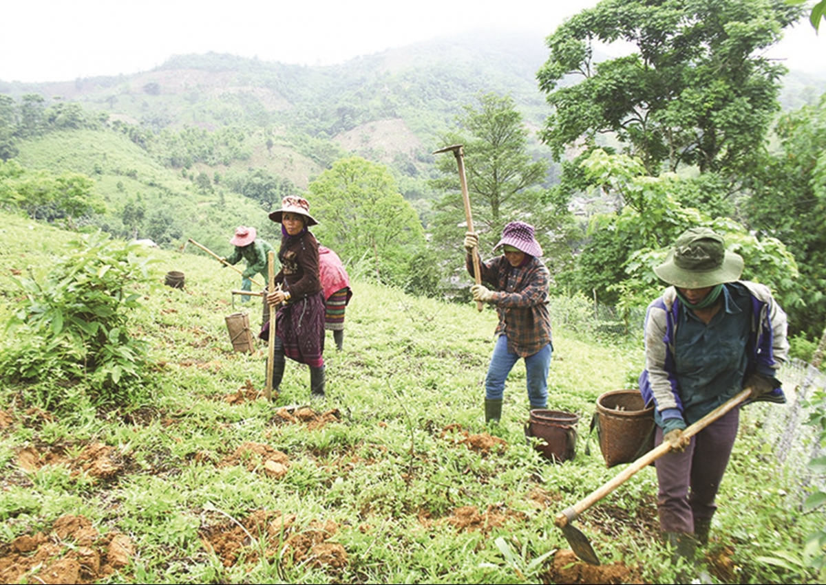 
Tơgŭm tĕh choh jang xa vă pơjing tơdrong jang xa, arih xa ăn kon pơlei kon kông. (Rup TL)