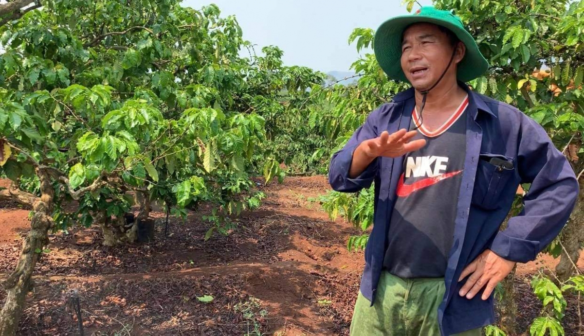 
Um kon pơlei Tây Nguyên jang choh pơtăm