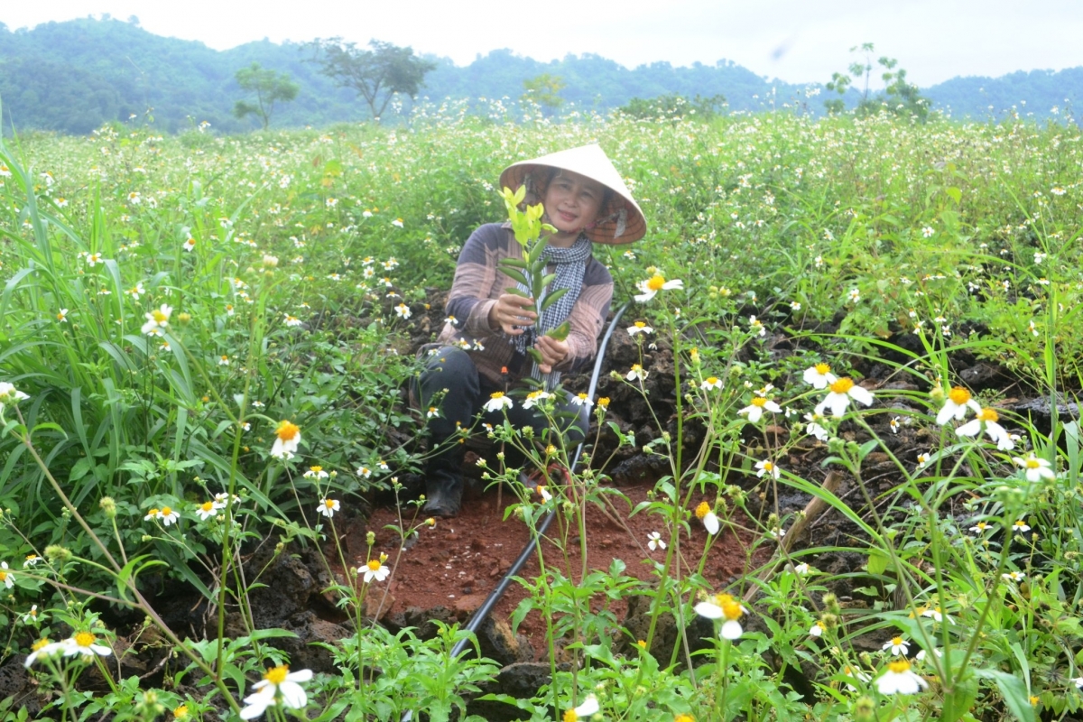 
Mŏ Nguyễn Thị Mai hlôi tơkơ̆ tơmo pơtăm krô̆i kam, kuyt lơ̆m tơring kông ŭnh Nam Kar