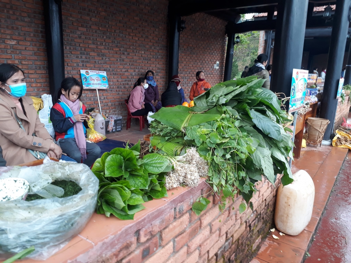 Zâp râu bhơi r'vehs crâng cơnh hi la a'rong, a'điu, g'mạ t'viêng liêm đợc p'cắh pa câl đhị hội chợ.
Các loại rau rừng như lá sắn, kiệu, rau má xanh tươi được bày bán tại hội chợ.