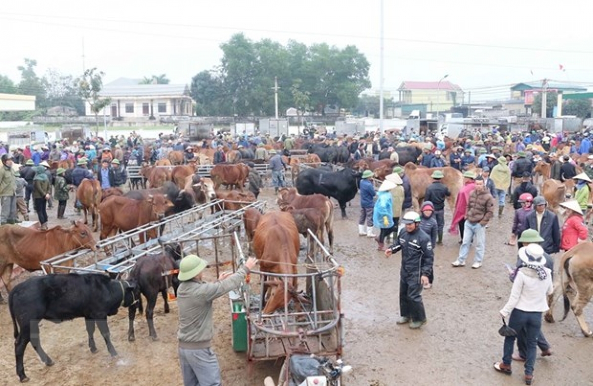 (Cha nup: TTXVN/Vietnam+)