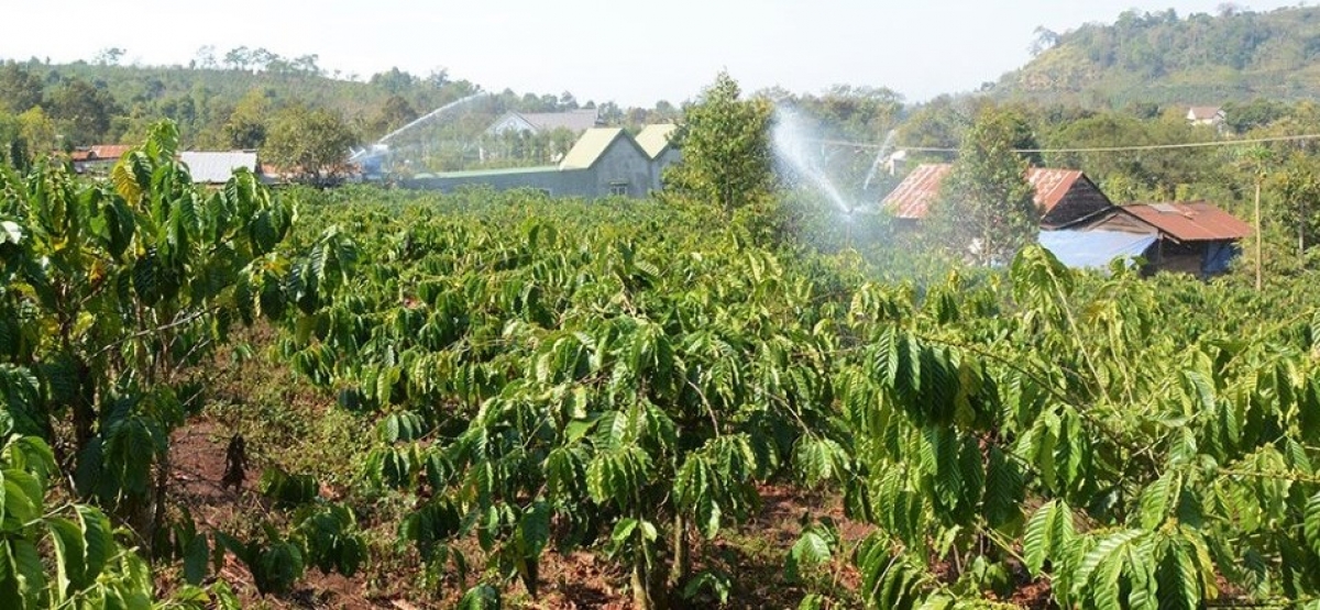 
Làng bol ƀòn U2 sơngka sền gàr kơphe