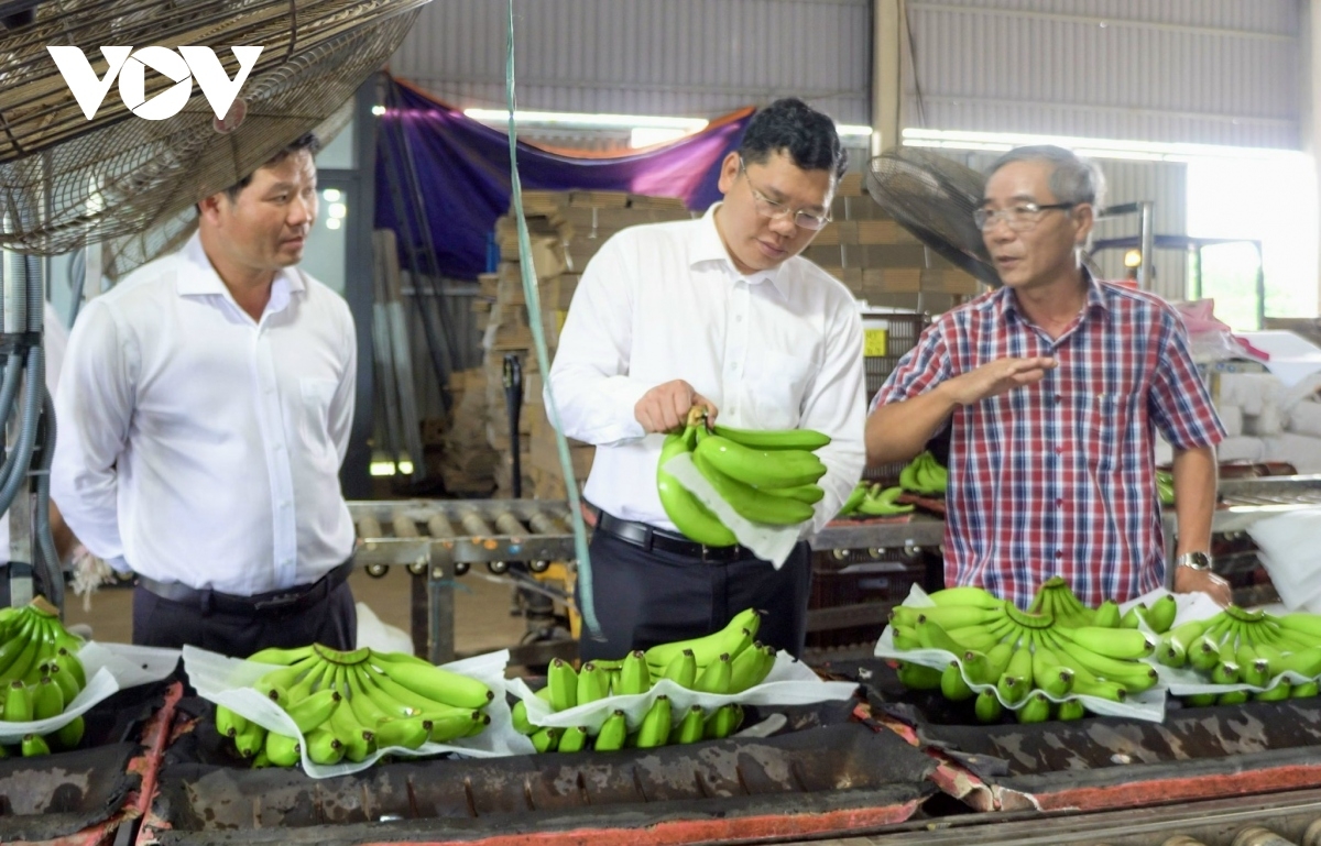 Ngak patei pandar kong nghe glaong hu brei jien mek tame tani tanat