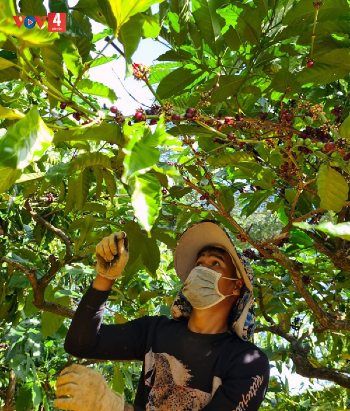 
Dôm ŭnh hnam kon pơlei đei tơgŭm jên vă tơplih jang sa