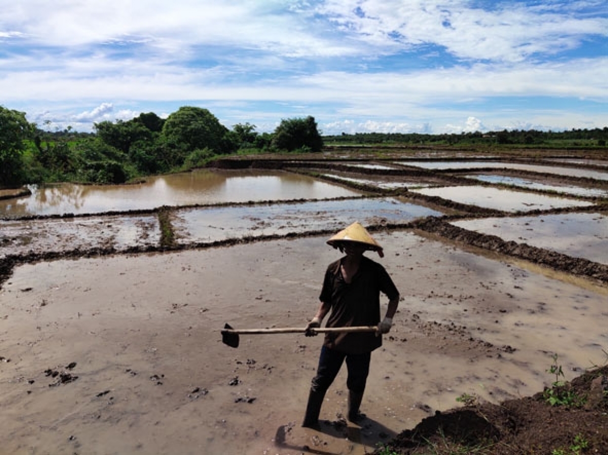 
Kon pơlei jang chŭn mir xăh Cư Êbur (pơlei tơm Buôn Ma Thuột) choh rơ uơ vă rei pơtăm ƀa pơyan phang ( rup iŏk đơ̆ng lơ̆m mạng)