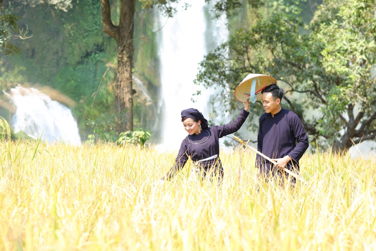 Chúp cọ lụ chúp ngần
Chúp noọng hổm 2 cần đảy bấu
Hổm đảy chài xo pậu nèm tàng