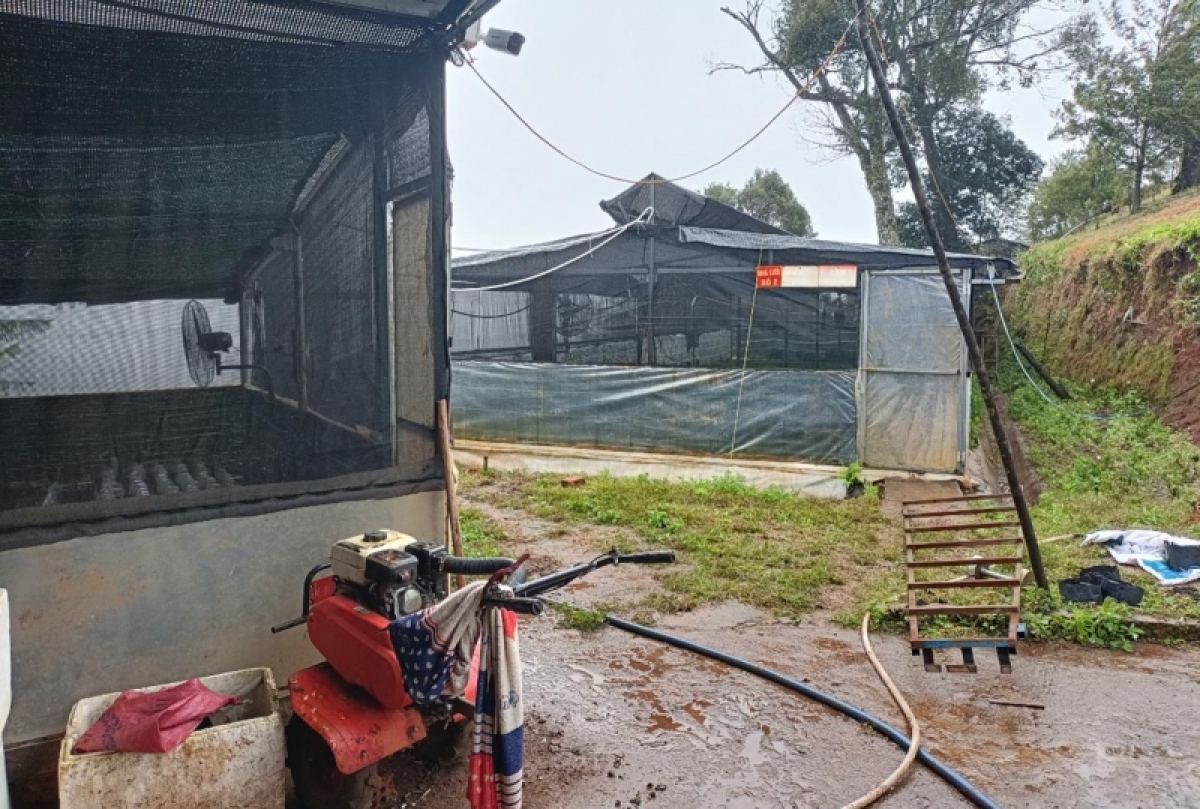 Tiah hìu jàl tam kơnuh sơnơm Ngọc Linh ròng bơkiar mô