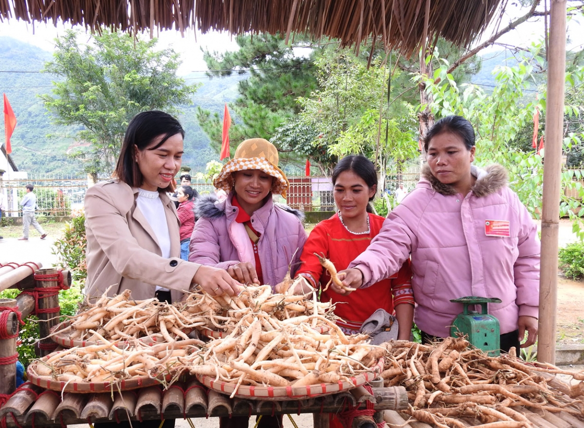 
Sâm kơxái ki kuăn pơlê a cheăm Măng Ri, tơring Tu Mrông pêt a ngo Ngọc Linh châ kuăn pơlểơhêng vâ rôe