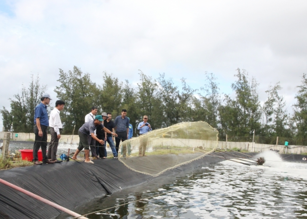 
 Túa păn xi xŏng a tơring Vĩnh Linh, kong pơlê Quảng Trị