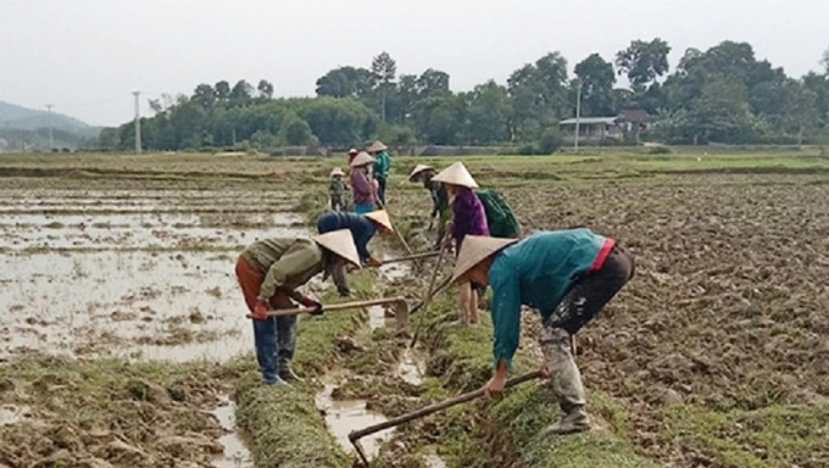 
Kuăn pơlê ki pêi chiâk mơdoh chôu kui tah trâp drô thông têa vâ ăm têa châ hiu  (Um Internet)