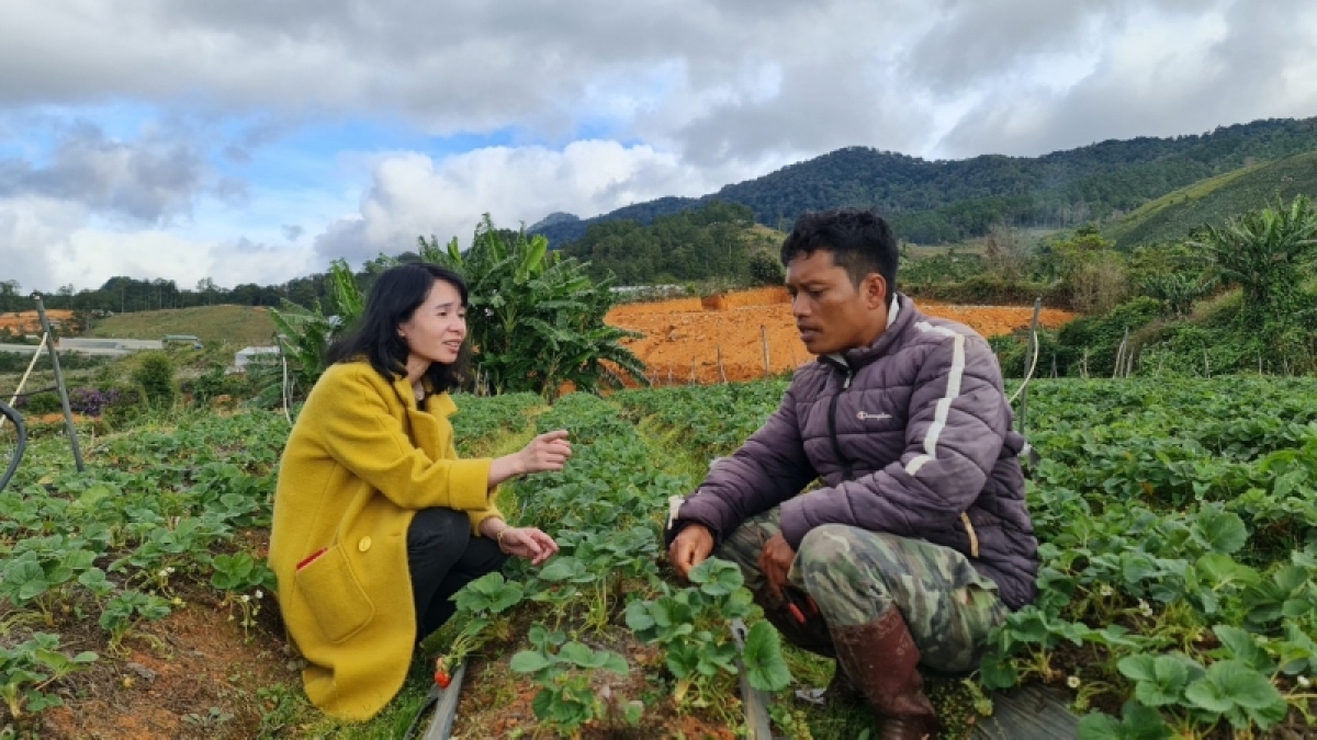 
Kwang bàng Anih tờm dong kờl bơto pơlam lơh broă sa sươn sre bơto pơlam bè bơta chài tam phan