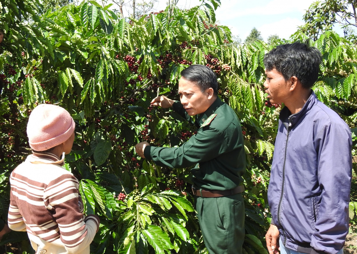 
Tơlơi hơdip kơ mơnuih ƀon sang jai hrơi đĭ đăi yua mơng hơdôm phun pla sĭ hơmâo nua